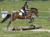 CCE, Hunter, Dress, Equifun